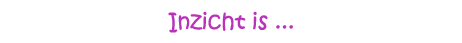 Inzicht is...