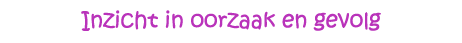 Inzicht in oorzaak en gevolg