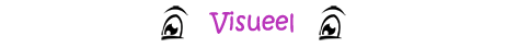 Visueel